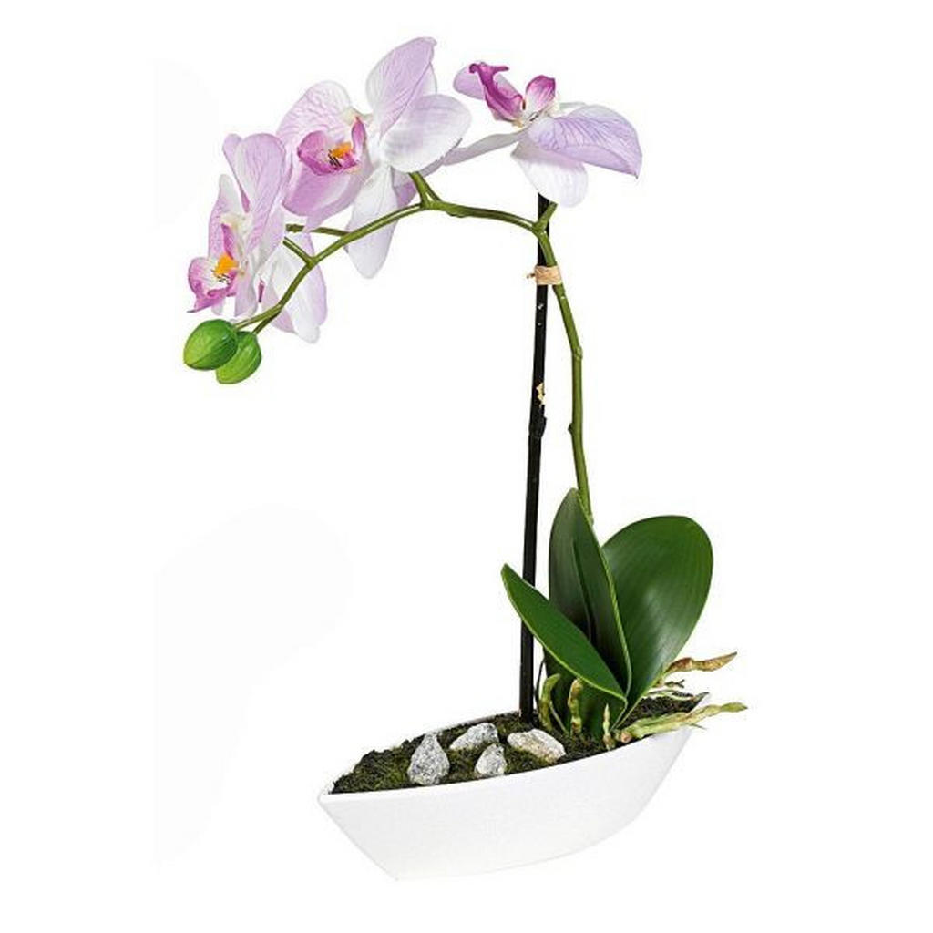 XXXL ORCHIDEJ orchidej 28 cm